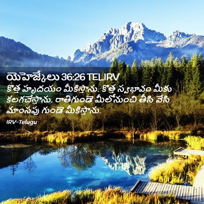 Picture 02 - యెహెజ్కేలు 36:26 TELIRV - కొత్త హృదయం - Bible Verse Picture