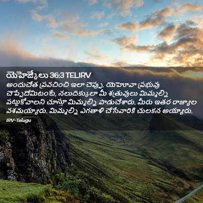 Picture 02 - యెహెజ్కేలు 36:3 TELIRV - అందుచేత ప్రవచించి - Bible Verse Picture