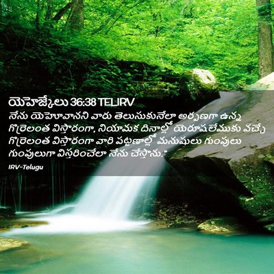 Picture 02 - యెహెజ్కేలు 36:38 TELIRV - నేను యెహోవానని - Bible Verse Picture