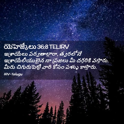 Picture 02 - యెహెజ్కేలు 36:8 TELIRV - ఇశ్రాయేలు - Bible Verse Picture