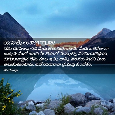 Picture 02 - యెహెజ్కేలు 37:14 TELIRV - నేను యెహోవానని - Bible Verse Picture