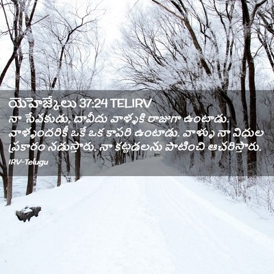 Picture 02 - యెహెజ్కేలు 37:24 TELIRV - నా సేవకుడు, దావీదు - Bible Verse Picture