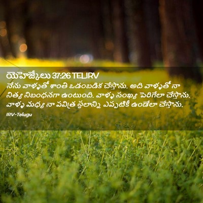 Picture 02 - యెహెజ్కేలు 37:26 TELIRV - నేను వాళ్ళతో - Bible Verse Picture