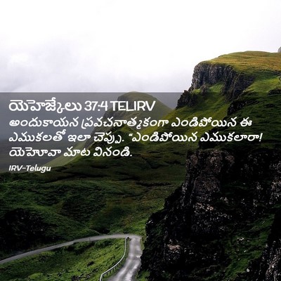 Picture 02 - యెహెజ్కేలు 37:4 TELIRV - అందుకాయన - Bible Verse Picture