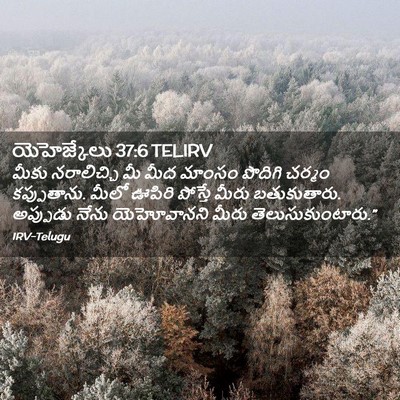 Picture 02 - యెహెజ్కేలు 37:6 TELIRV - మీకు నరాలిచ్చి మీ - Bible Verse Picture