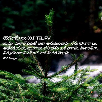 Picture 02 - యెహెజ్కేలు 38:11 TELIRV - నువ్వు దురాలోచనతో - Bible Verse Picture