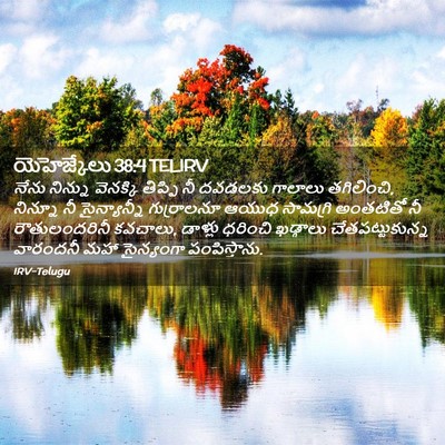 Picture 02 - యెహెజ్కేలు 38:4 TELIRV - నేను నిన్ను - Bible Verse Picture