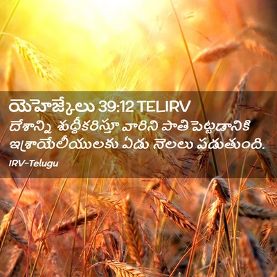Picture 02 - యెహెజ్కేలు 39:12 TELIRV - దేశాన్ని - Bible Verse Picture