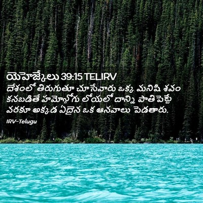 Picture 02 - యెహెజ్కేలు 39:15 TELIRV - దేశంలో తిరుగుతూ - Bible Verse Picture