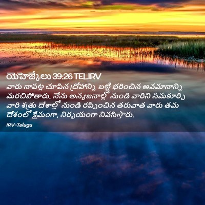 Picture 02 - యెహెజ్కేలు 39:26 TELIRV - వారు నాపట్ల చూపిన - Bible Verse Picture