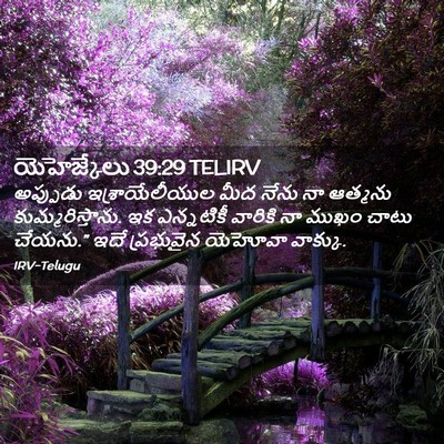 Picture 02 - యెహెజ్కేలు 39:29 TELIRV - అప్పుడు - Bible Verse Picture