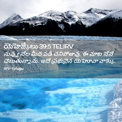 Picture 02 - యెహెజ్కేలు 39:5 TELIRV - నువ్వు నేల మీద పడి - Bible Verse Picture