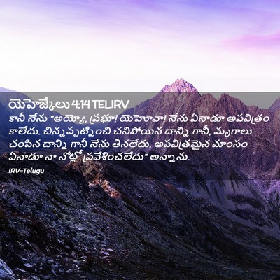 Picture 02 - యెహెజ్కేలు 4:14 TELIRV - కానీ నేను “అయ్యో, - Bible Verse Picture