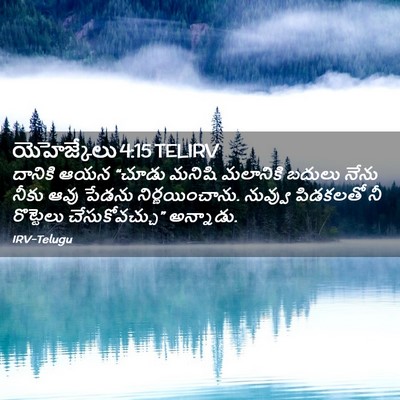 Picture 02 - యెహెజ్కేలు 4:15 TELIRV - దానికి ఆయన “చూడు - Bible Verse Picture