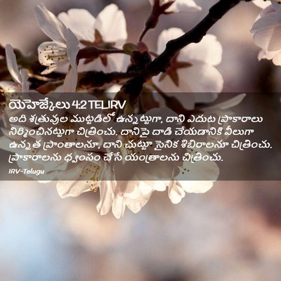 Picture 02 - యెహెజ్కేలు 4:2 TELIRV - అది శత్రువుల - Bible Verse Picture