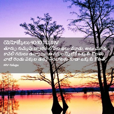 Picture 02 - యెహెజ్కేలు 40:10 TELIRV - తూర్పు గుమ్మపు - Bible Verse Picture