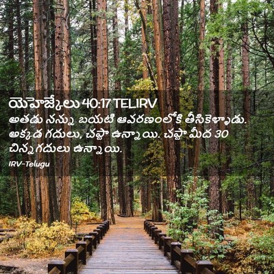Picture 02 - యెహెజ్కేలు 40:17 TELIRV - అతడు నన్ను బయటి - Bible Verse Picture