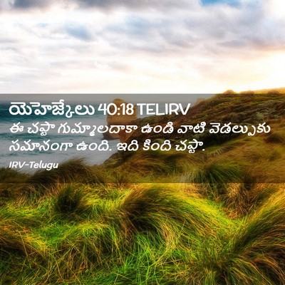 Picture 02 - యెహెజ్కేలు 40:18 TELIRV - ఈ చప్టా - Bible Verse Picture