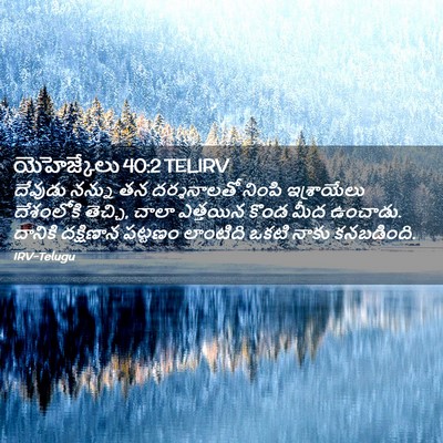 Picture 02 - యెహెజ్కేలు 40:2 TELIRV - దేవుడు నన్ను తన - Bible Verse Picture