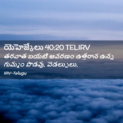 Picture 02 - యెహెజ్కేలు 40:20 TELIRV - తరవాత బయటి ఆవరణం - Bible Verse Picture
