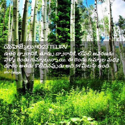 Picture 02 - యెహెజ్కేలు 40:23 TELIRV - ఉత్తర ద్వారానికి, - Bible Verse Picture