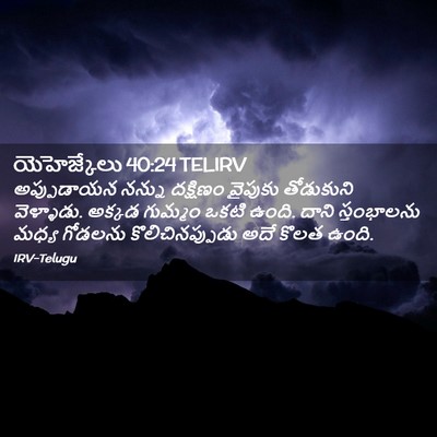 Picture 02 - యెహెజ్కేలు 40:24 TELIRV - అప్పుడాయన నన్ను - Bible Verse Picture