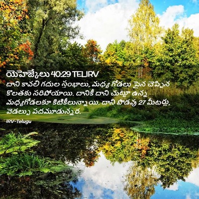 Picture 02 - యెహెజ్కేలు 40:29 TELIRV - దాని కావలి గదుల - Bible Verse Picture