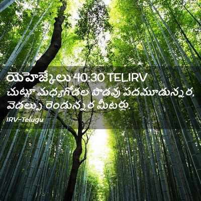 Picture 02 - యెహెజ్కేలు 40:30 TELIRV - చుట్టూ మధ్యగోడల - Bible Verse Picture
