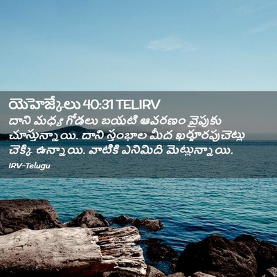 Picture 02 - యెహెజ్కేలు 40:31 TELIRV - దాని మధ్య గోడలు - Bible Verse Picture