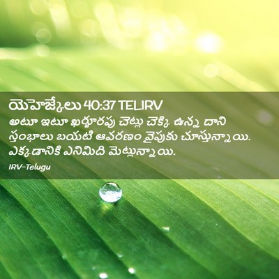 Picture 02 - యెహెజ్కేలు 40:37 TELIRV - అటూ ఇటూ ఖర్జూరపు - Bible Verse Picture