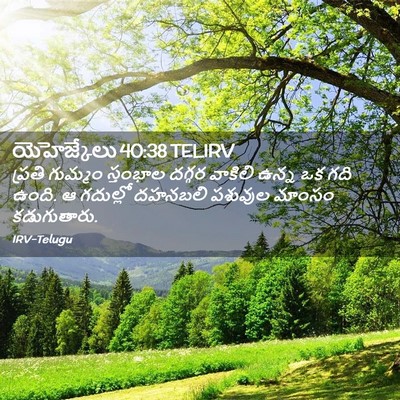 Picture 02 - యెహెజ్కేలు 40:38 TELIRV - ప్రతి గుమ్మం - Bible Verse Picture