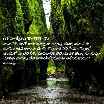 Picture 02 - యెహెజ్కేలు 40:4 TELIRV - ఆ మనిషి నాతో ఇలా - Bible Verse Picture