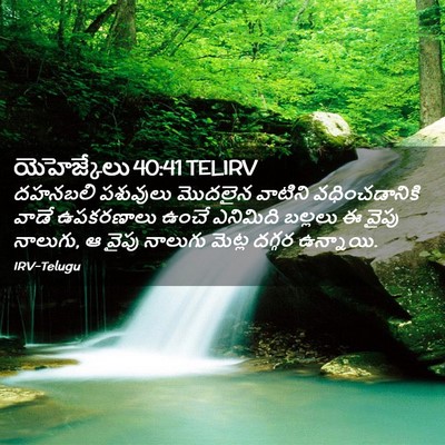 Picture 02 - యెహెజ్కేలు 40:41 TELIRV - దహనబలి పశువులు - Bible Verse Picture
