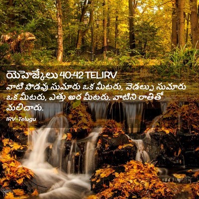 Picture 02 - యెహెజ్కేలు 40:42 TELIRV - వాటి పొడవు సుమారు - Bible Verse Picture