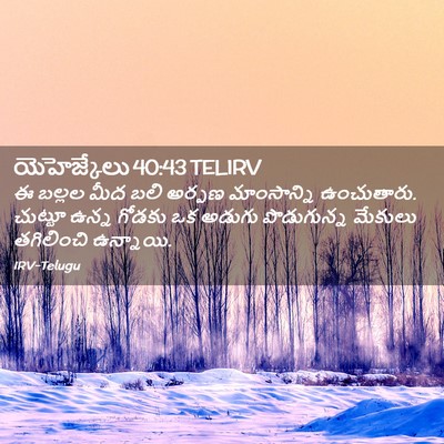 Picture 02 - యెహెజ్కేలు 40:43 TELIRV - ఈ బల్లల మీద బలి - Bible Verse Picture