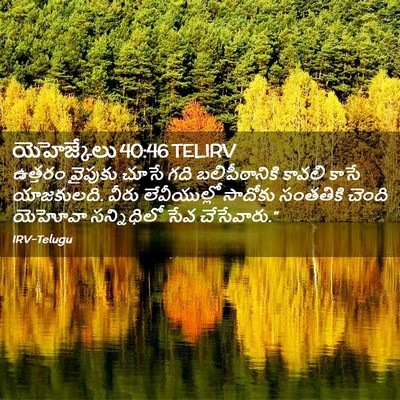 Picture 02 - యెహెజ్కేలు 40:46 TELIRV - ఉత్తరం వైపుకు - Bible Verse Picture