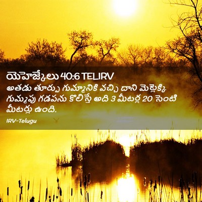 Picture 02 - యెహెజ్కేలు 40:6 TELIRV - అతడు తూర్పు - Bible Verse Picture