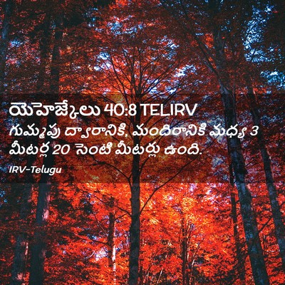 Picture 02 - యెహెజ్కేలు 40:8 TELIRV - గుమ్మపు - Bible Verse Picture