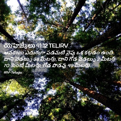 Picture 02 - యెహెజ్కేలు 41:12 TELIRV - ఆవరణం ఎదురుగా - Bible Verse Picture