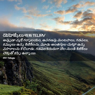 Picture 02 - యెహెజ్కేలు 41:16 TELIRV - అప్పుడా వ్యక్తి - Bible Verse Picture