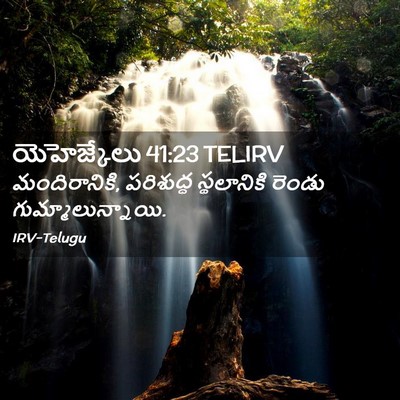 Picture 02 - యెహెజ్కేలు 41:23 TELIRV - మందిరానికి, - Bible Verse Picture