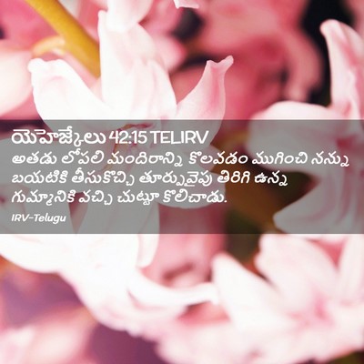 Picture 02 - యెహెజ్కేలు 42:15 TELIRV - అతడు లోపలి - Bible Verse Picture