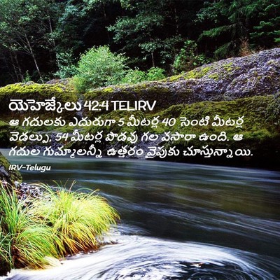 Picture 02 - యెహెజ్కేలు 42:4 TELIRV - ఆ గదులకు ఎదురుగా 5 - Bible Verse Picture