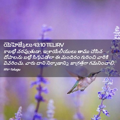 Picture 02 - యెహెజ్కేలు 43:10 TELIRV - కాబట్టి - Bible Verse Picture