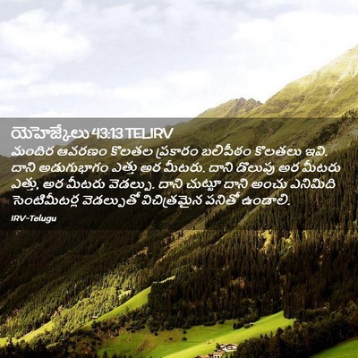 Picture 02 - యెహెజ్కేలు 43:13 TELIRV - మందిర ఆవరణం కొలతల - Bible Verse Picture