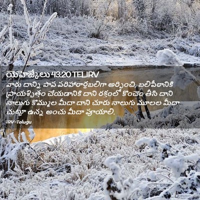 Picture 02 - యెహెజ్కేలు 43:20 TELIRV - వారు దాన్ని పాప - Bible Verse Picture