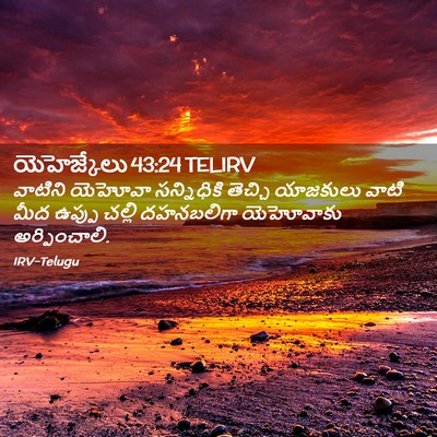 Picture 02 - యెహెజ్కేలు 43:24 TELIRV - వాటిని యెహోవా - Bible Verse Picture