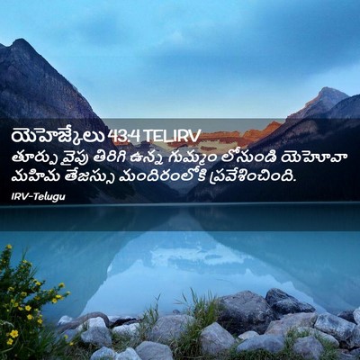 Picture 02 - యెహెజ్కేలు 43:4 TELIRV - తూర్పు వైపు - Bible Verse Picture