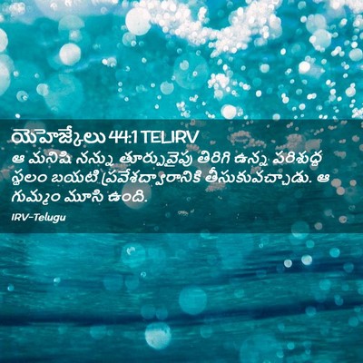 Picture 02 - యెహెజ్కేలు 44:1 TELIRV - ఆ మనిషి నన్ను - Bible Verse Picture