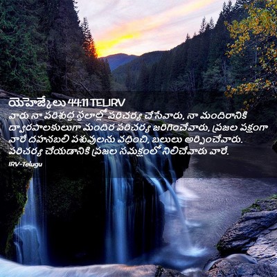 Picture 02 - యెహెజ్కేలు 44:11 TELIRV - వారు నా పరిశుద్ధ - Bible Verse Picture